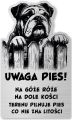 Tabliczka Uwaga pies Buldog Angielski 25x15