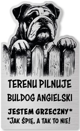 Tabliczka Uwaga pies Buldog Angielski 25x15