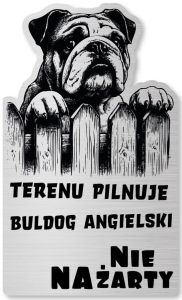 Tabliczka Uwaga pies Buldog Angielski 25x15