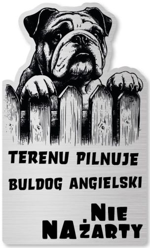 Tabliczka Uwaga pies Buldog Angielski 25x15