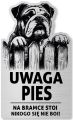 Tabliczka Uwaga pies Buldog Angielski 25x15