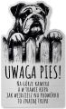 Tabliczka Uwaga pies Buldog Angielski 25x15