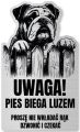 Tabliczka Uwaga pies Buldog Angielski 25x15