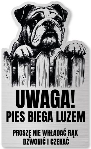 Tabliczka Uwaga pies Buldog Angielski 25x15