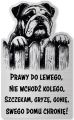 Tabliczka Uwaga pies Buldog Angielski 25x15