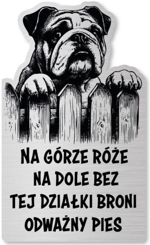 Tabliczka Uwaga pies Buldog Angielski 25x15