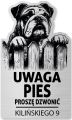 Tabliczka Uwaga pies Buldog Angielski 25x15