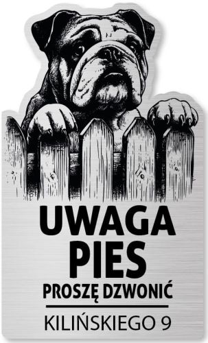 Tabliczka Uwaga pies Buldog Angielski 25x15