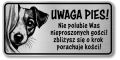 Tabliczka Uwaga pies Jack Russel Terrier 20x10