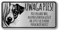 Tabliczka Uwaga pies Jack Russel Terrier 20x10
