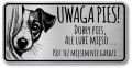 Tabliczka Uwaga pies Jack Russel Terrier 20x10