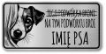 Tabliczka Uwaga pies Jack Russel Terrier 20x10