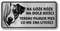 Tabliczka Uwaga pies Jack Russel Terrier 20x10