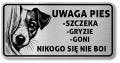 Tabliczka Uwaga pies Jack Russel Terrier 20x10
