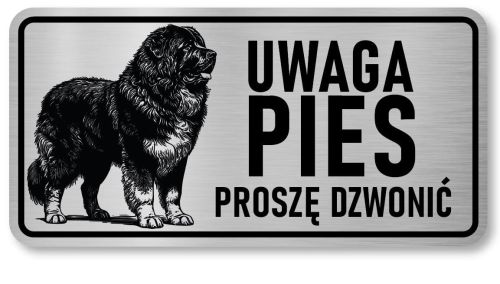 Uwaga pies tabliczka 20x10 Owczarek Kaukaski
