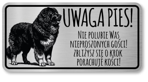 Uwaga pies tabliczka 20x10 Owczarek Kaukaski
