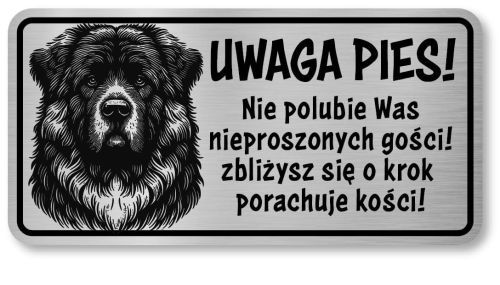 Uwaga pies tabliczka 20x10 Kaukaz