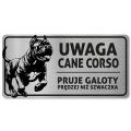 Tabliczka Uwaga pies Cane Corso 20x10
