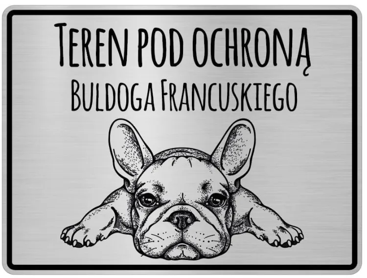 Buldog Francuski.JPG