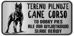 Tabliczka z Laminatu 20 x 10 Cane Corso - To dobry pies  ale ma wyjątkowo   słabe nerwy