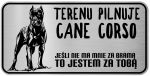 Tabliczka z Laminatu 20 x 10 Cane Corso  - Jeśli nie ma mnie za bramą to jestem za Tobą