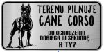 Tabliczka z Laminatu 20 x 10 Cane Corso Do ogrodzenia dobiegam w sekundę... A ty?