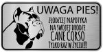 Tabliczka z Laminatu 20 x 10 Cane Corso - Złodziej napotyka na swej drodze Cane Corso tylko raz w życiu