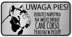 Tabliczka z Laminatu 20 x 10 Cane Corso - Złodziej napotyka na swej drodze Cane Corso tylko raz w życiu