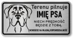 Tabliczka z Laminatu 20 x 10 Cane Corso - Imię psa - Niech prędkość będzie z tobą