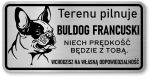Tabliczka z Laminatu 20 x 10 Buldog Francuski - Niech prędkość będzie z Tobą