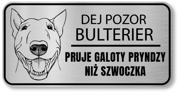 Bulterier tabliczka 3.JPG